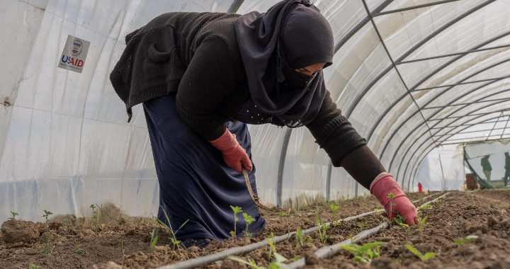 الوكالة الأمريكيّة للتنمية الدولية تسلط الضوء على ثلاث نساء عراقيات